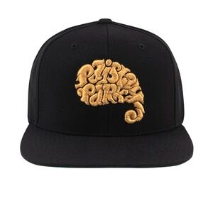 ☔️ NWT PAISLEY PARK LOGO SNAPBACK HAT-Unisex